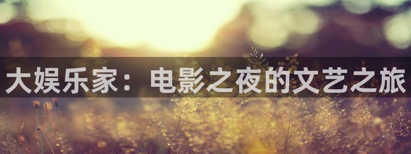 永信贵宾会：大娱乐家：电影之夜的文艺之旅
