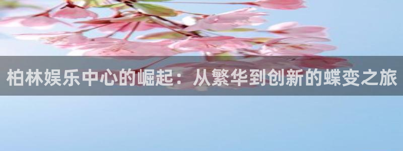 永信贵宾会：柏林娱乐中心的崛起：从繁华到创新的蝶变之旅