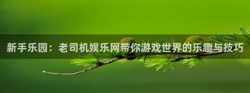 永信贵宾会优惠大厅：新手乐园：老司机娱乐网带你游戏世界的乐趣与技巧