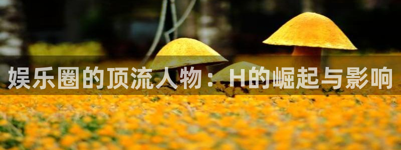 永信贵宾会网址：娱乐圈的顶流人物：H的崛起与影响
