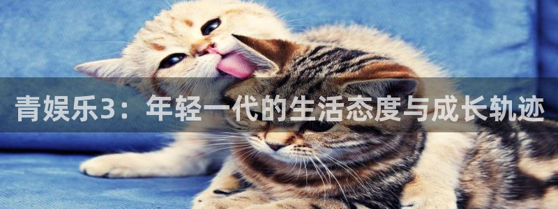 永信贵宾会：青娱乐3：年轻一代的生活态度与成长轨迹