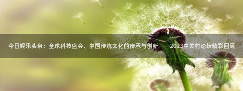 永信贵宾会备用网址：今日娱乐头条：全球科技盛会、中国传统文化的传承与创新——2023中关村论坛精彩回顾